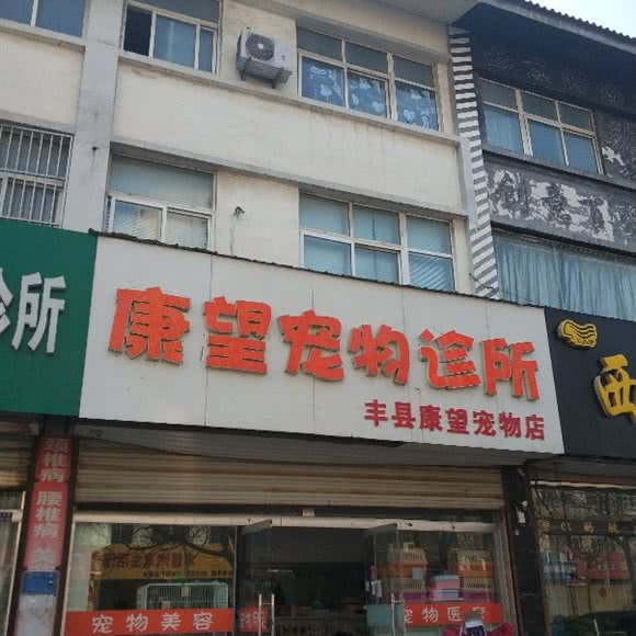 康望狗狗诊所:徐州市丰县