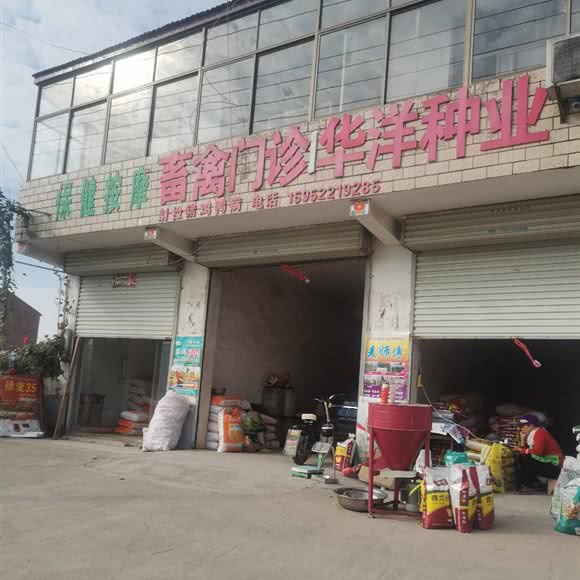 动物门诊:徐州市丰县