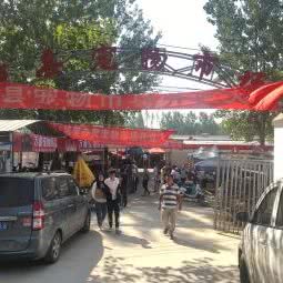 沛县宠物市场:徐州市沛县