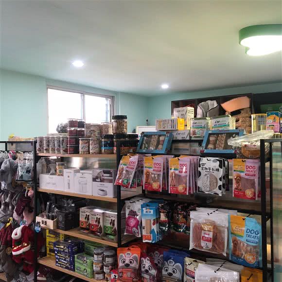 宠来宠趣:徐州市沛县