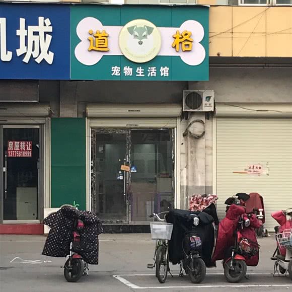 道格宠物生活馆:徐州市沛县