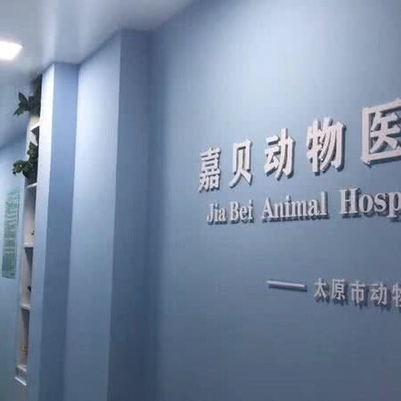 嘉贝宠物医院:太原市万柏林区长风商务区附近