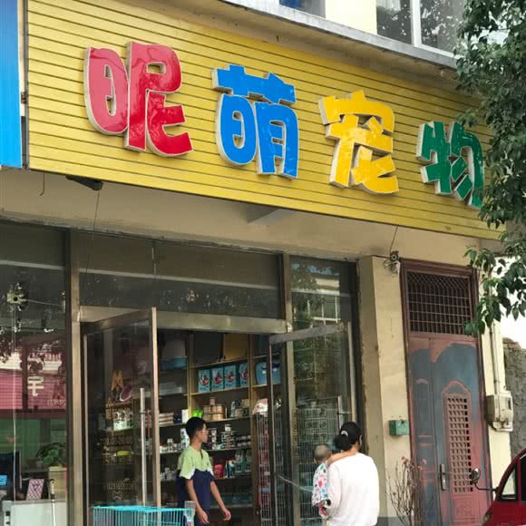 昵萌宠物:徐州市睢宁县