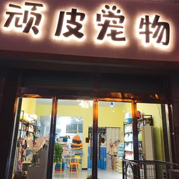 淘气宠物店:徐州市睢宁县