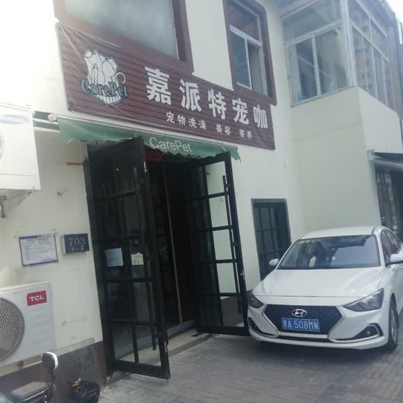嘉派特宠物:太原市万柏林区太原科技大学附近
