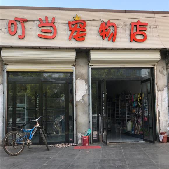 叮当宠物店:徐州市睢宁县