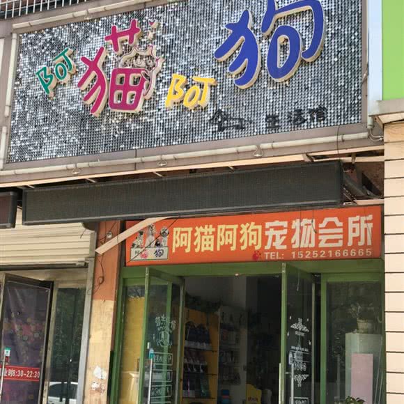 阿猫阿狗狗狗会所生活馆:徐州市睢宁县