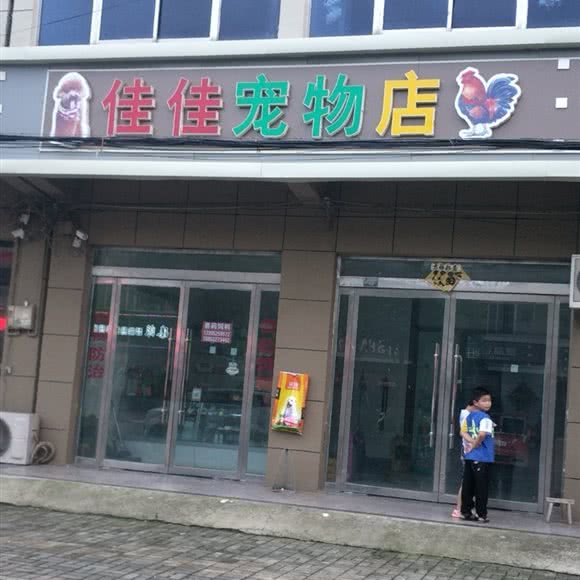 佳佳宠物店:徐州市睢宁县