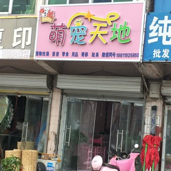 萌宠天地:徐州市睢宁县