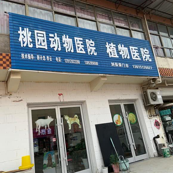 桃园动物医院:徐州市睢宁县