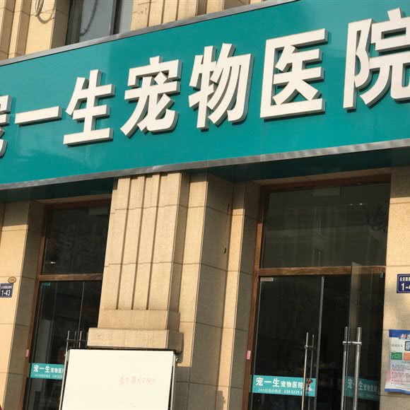 宠一生宠物医院:徐州市睢宁县