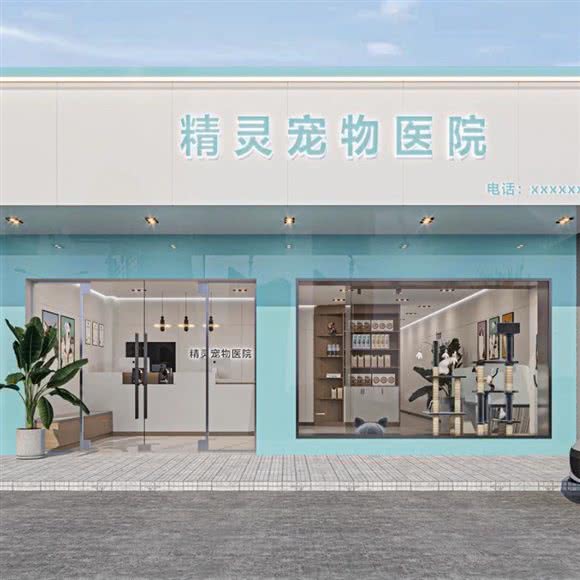精灵宠物医院:徐州市睢宁县