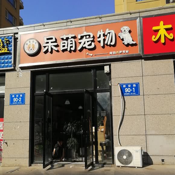 呆萌宠物:徐州市新沂市