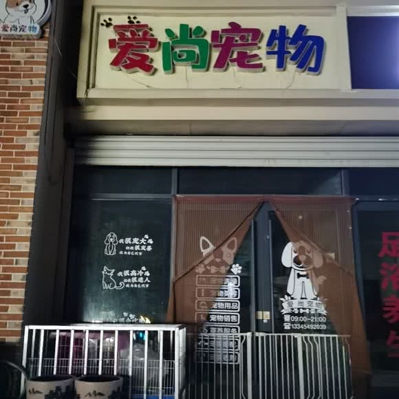 爱尚宠物:徐州市新沂市