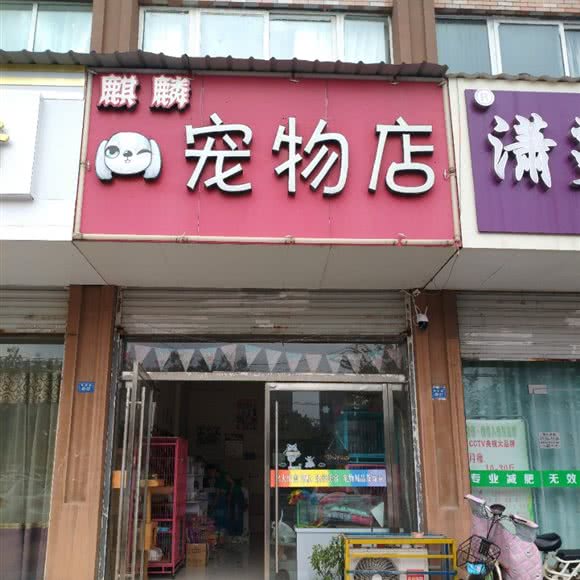 麒麟宠物店:徐州市新沂市