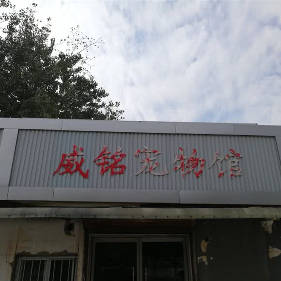 威铭宠物馆:徐州市新沂市