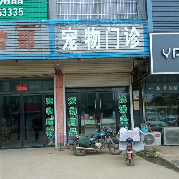 宠物门诊:徐州市新沂市