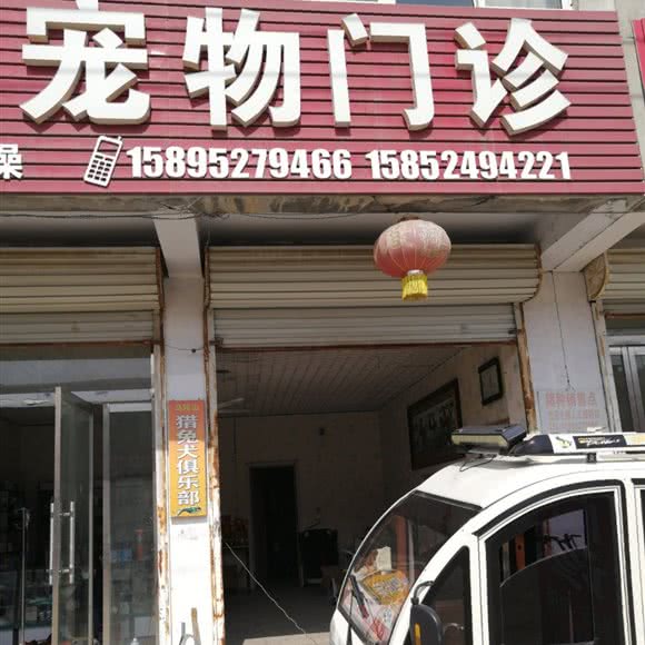 宠物门诊:徐州市新沂市