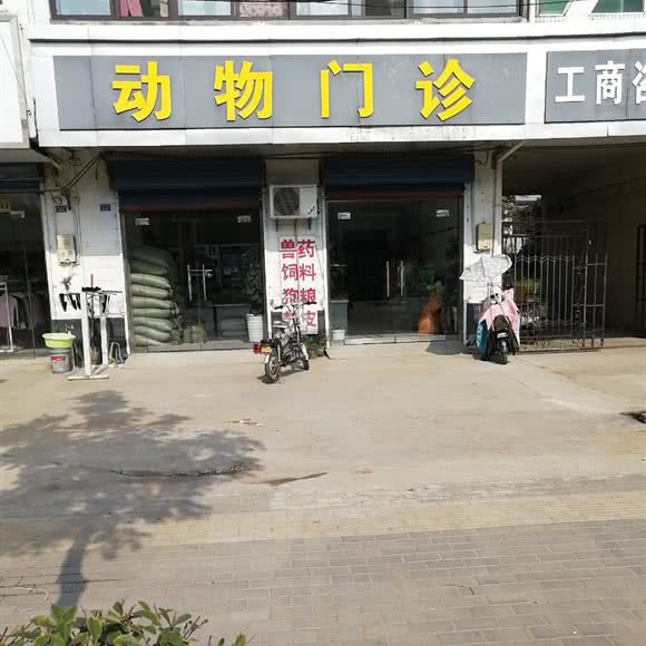 动物门诊:徐州市新沂市