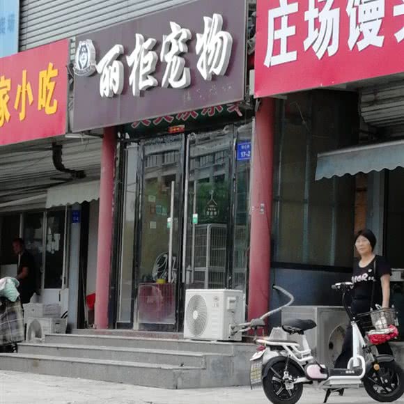 丽柜宠物:徐州市邳州市