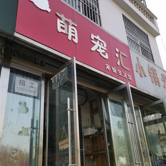萌宠汇:徐州市邳州市