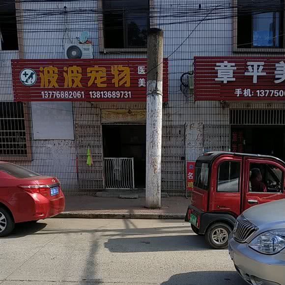 波波宠物之家:常州市天宁区