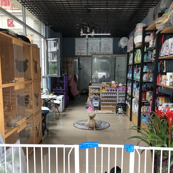 二姐的宠物店:太原市万柏林区和平南路附近