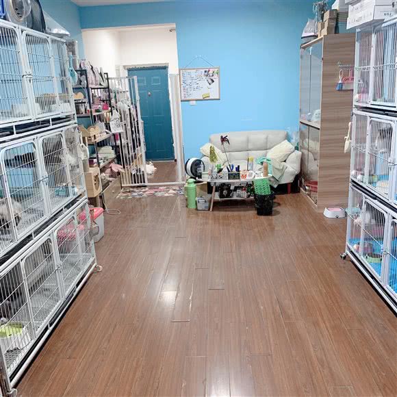 MyCat猫咪生活馆:常州市天宁区