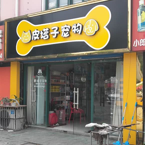 皮塔子宠物:常州市钟楼区