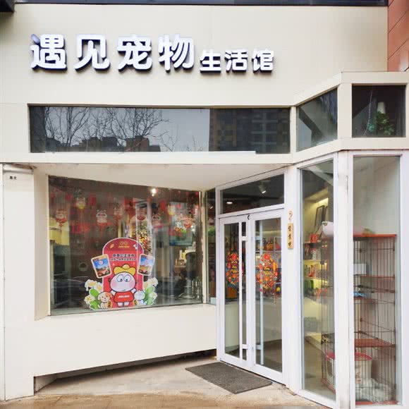 遇见宠物生活馆:太原市万柏林区和平南路附近