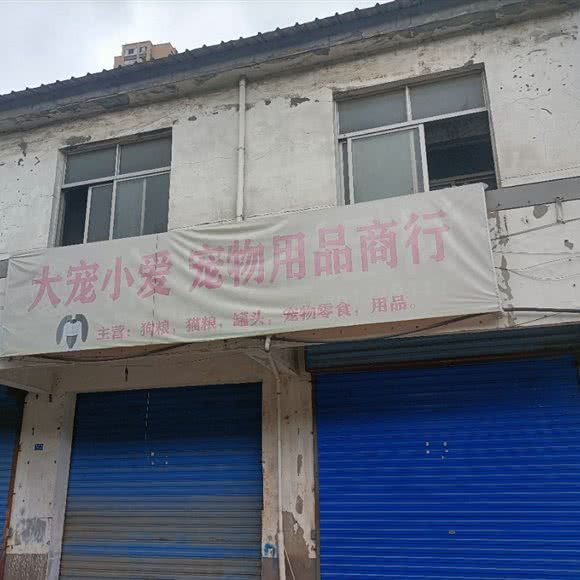 大宠小爱宠物用品商行:常州市钟楼区