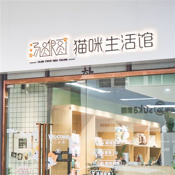 汤圆很圆猫咪生活馆:常州市新北区