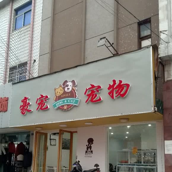 豪宠宠物:常州市新北区