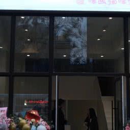 Mioo Cat 咪欧猫咪生活馆:常州市新北区