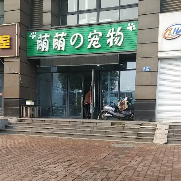 萌萌の宠物:常州市武进区