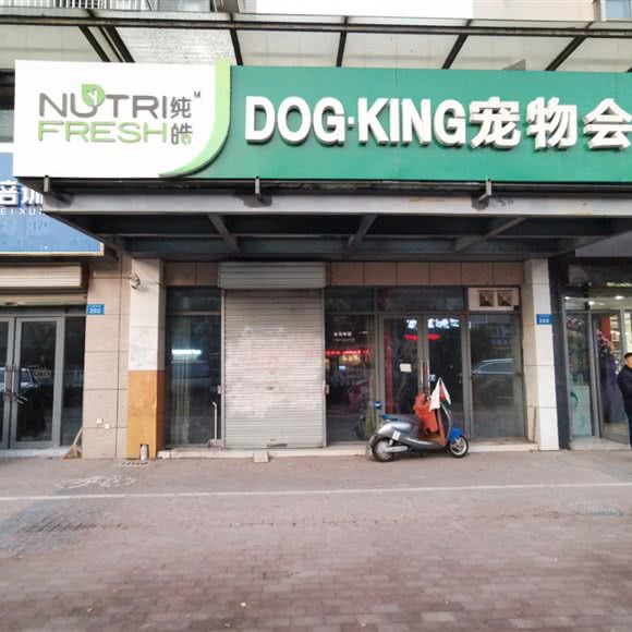 纯皓宠物会所:常州市武进区