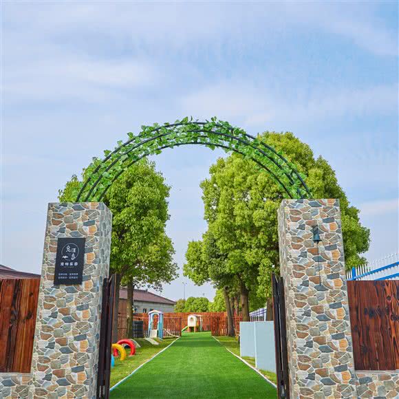 宠汪岛宠物训练寄养游乐园:常州市武进区