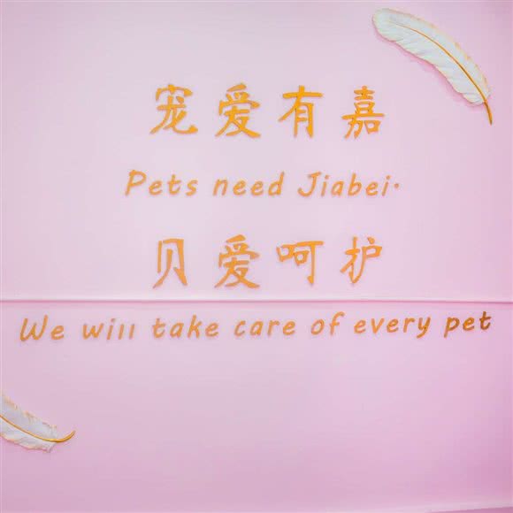嘉贝狗狗:太原市万柏林区和平南路附近