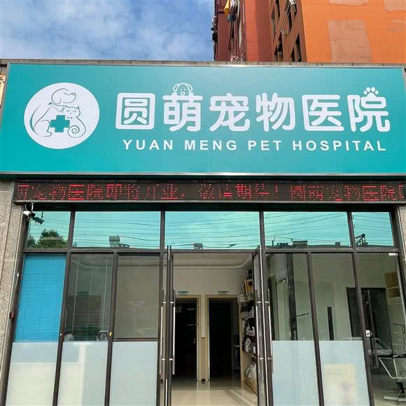 圆萌宠物医院:常州市武进区
