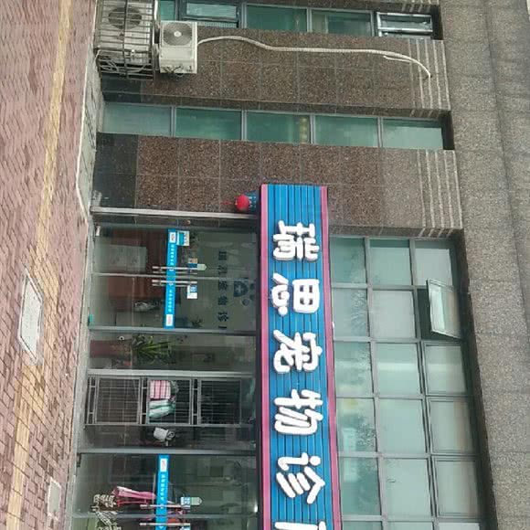 瑞思宠物诊所:常州市武进区