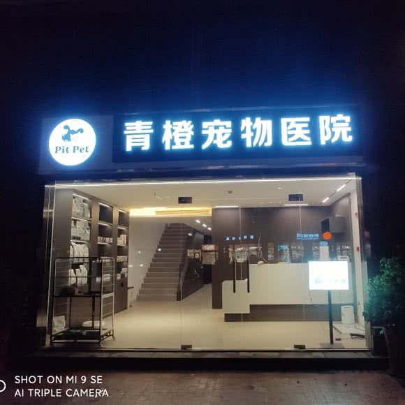 青橙宠物医院:常州市武进区
