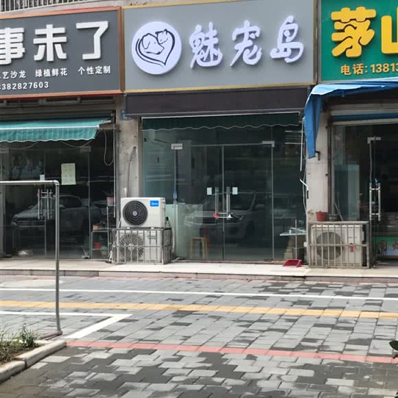 魅宠岛:常州市金坛区