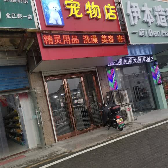 尊宠宠物店:常州市金坛区