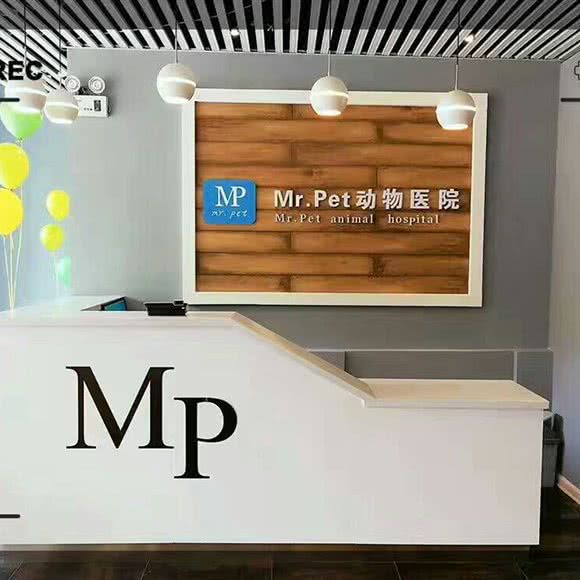 Mr.Pet动物医院:太原市万柏林区和平南路附近