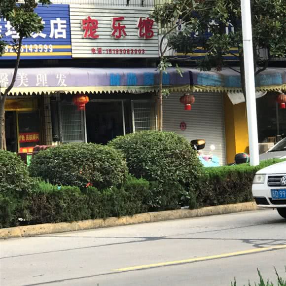 宠乐馆:常州市金坛区