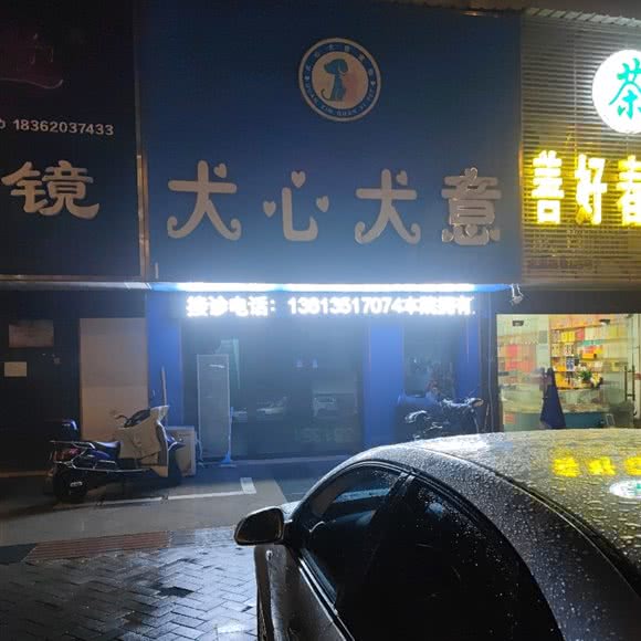 犬心犬意宠物医院:常州市金坛区