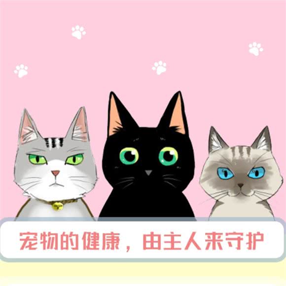 星承动物医院·艾尔文金坛分院:常州市金坛区