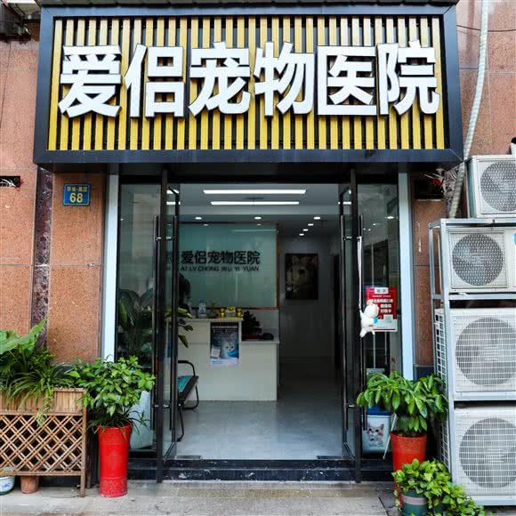 恋人宠物医院:常州市金坛区