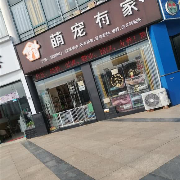 萌宠有家:常州市溧阳市