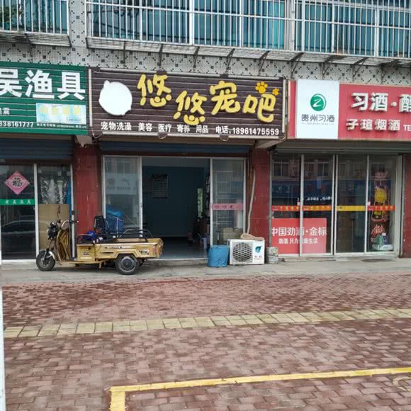 悠悠宠吧:常州市溧阳市